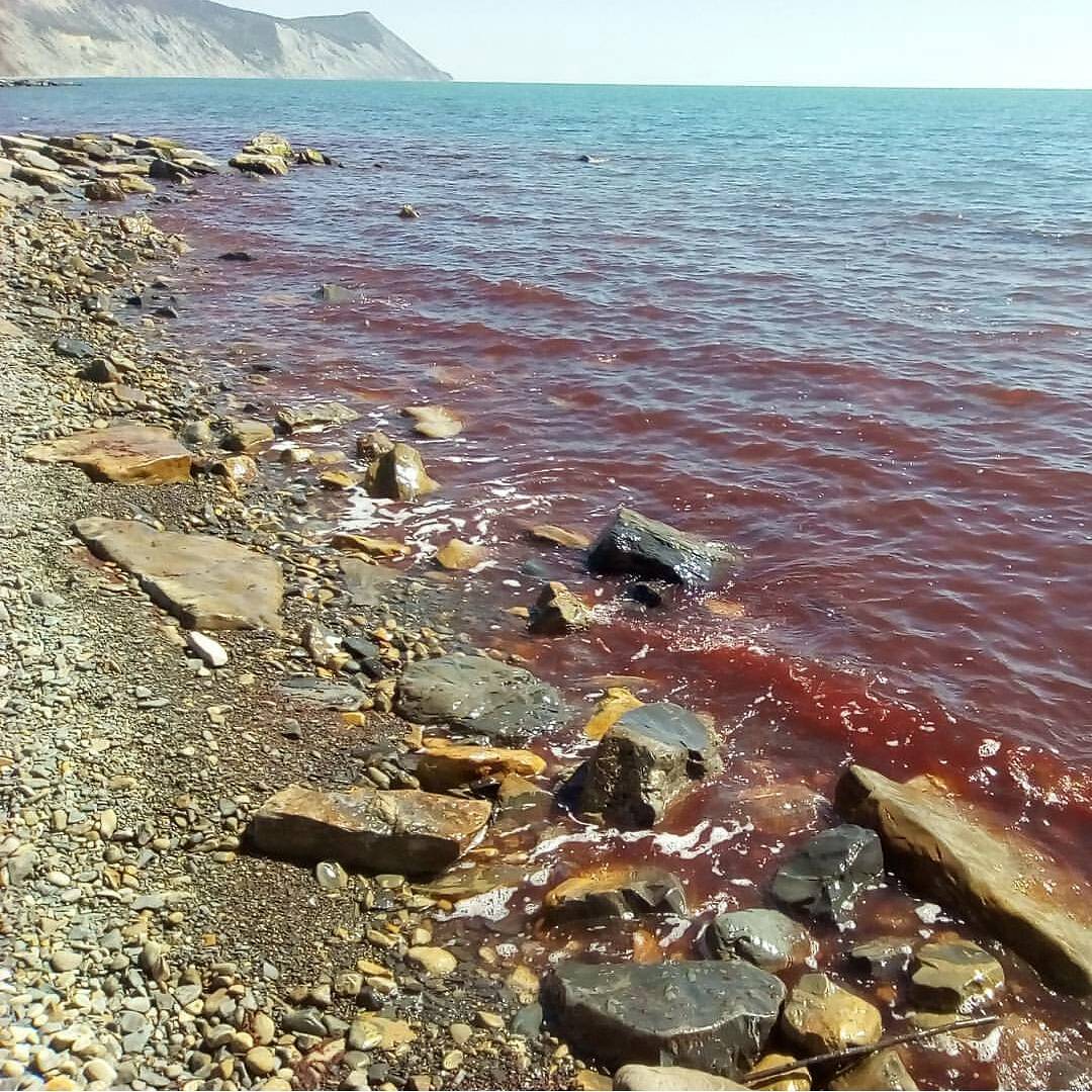 Море в районе Анапы стало красного цвета в апреле 2017