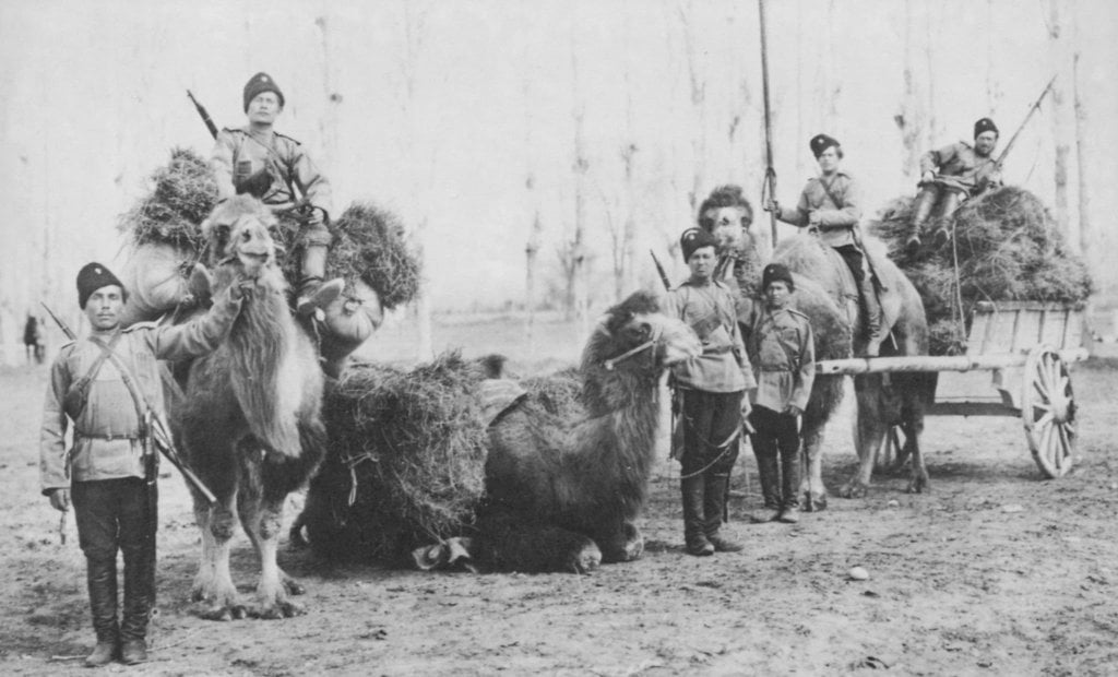 Оренбургские казаки с верблюдами 2 половина 19 века