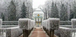 Царскосельский парк