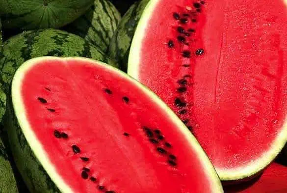 Астраханский арбуз