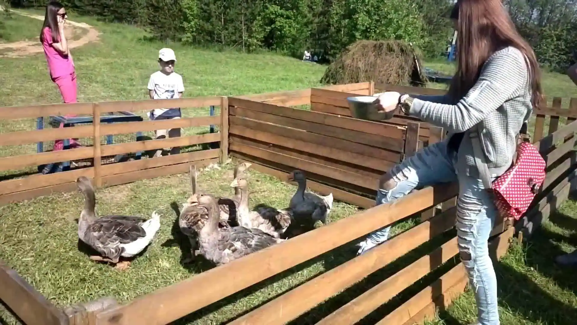 На фестивале "Арзамасский гусь"