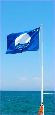 Голубой флаг