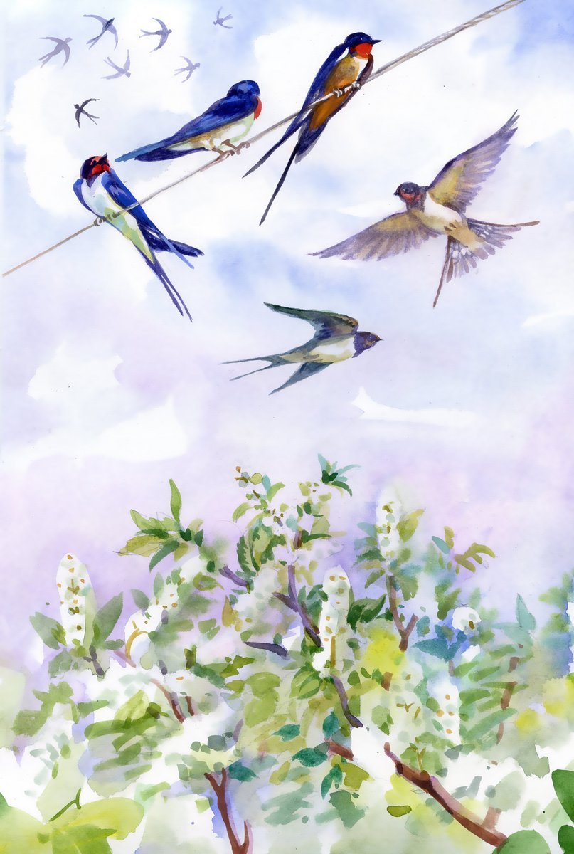Птицы весна