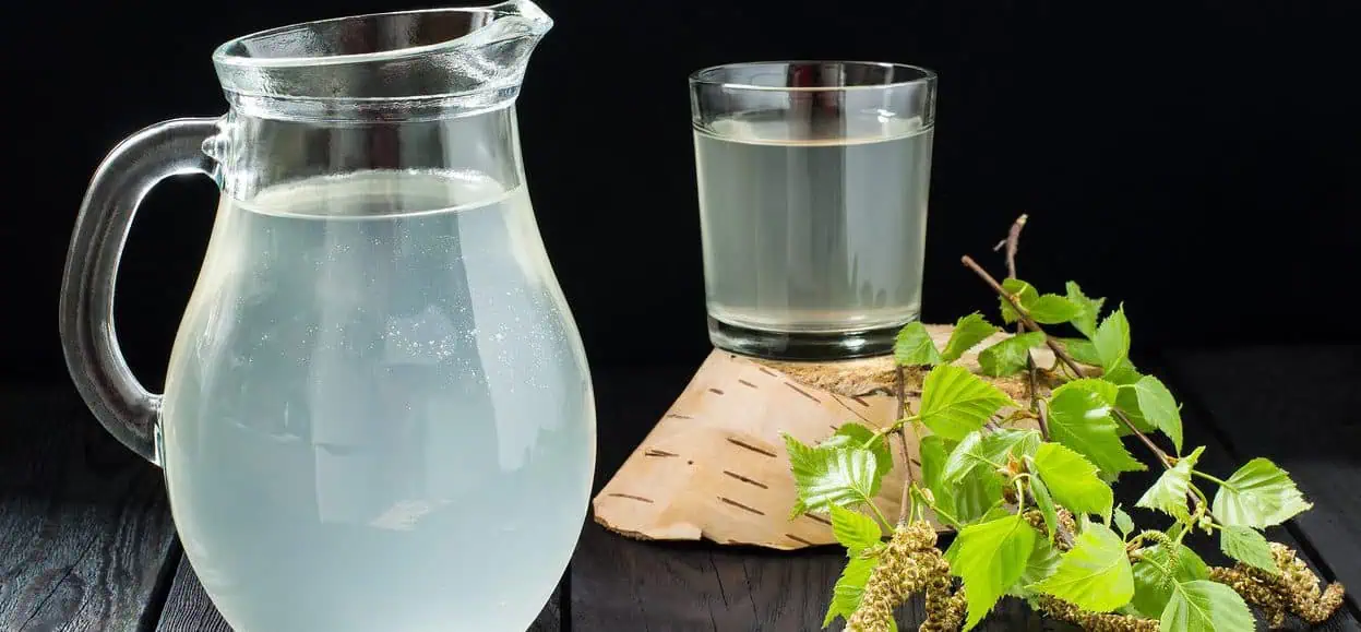 май. березовый сок. стихи