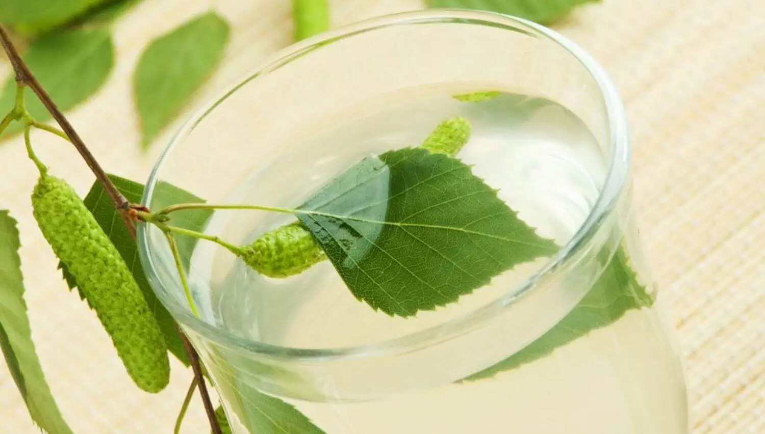 май. березовый сок. стихи