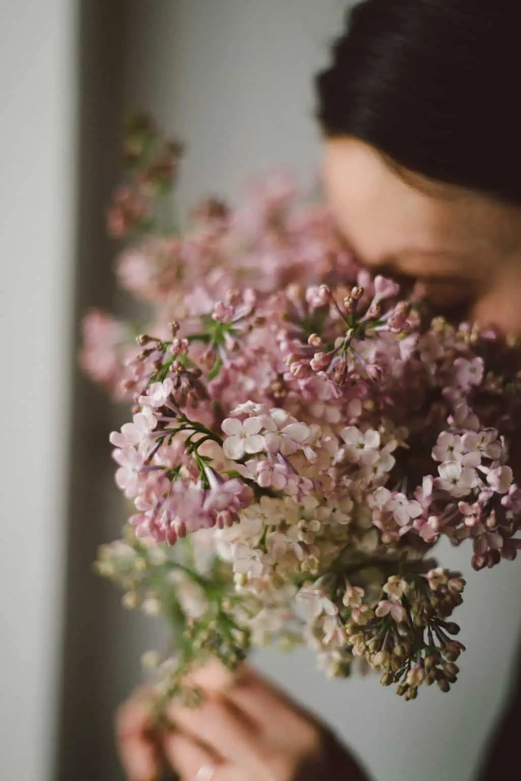 сирень черемуха май