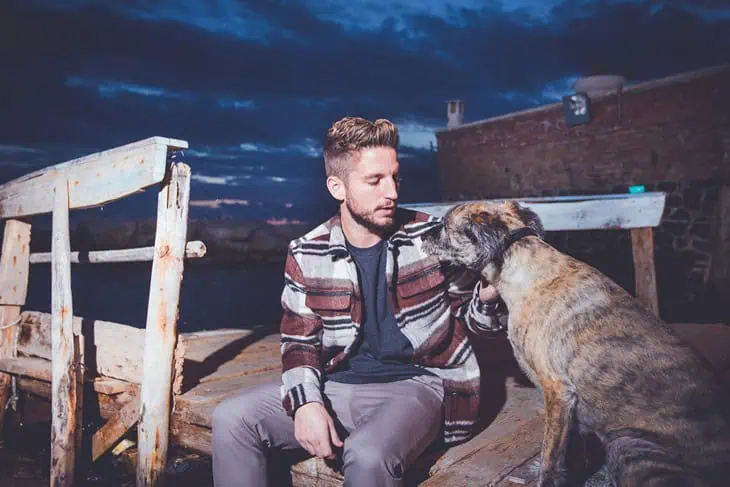 Дрис Мертенс