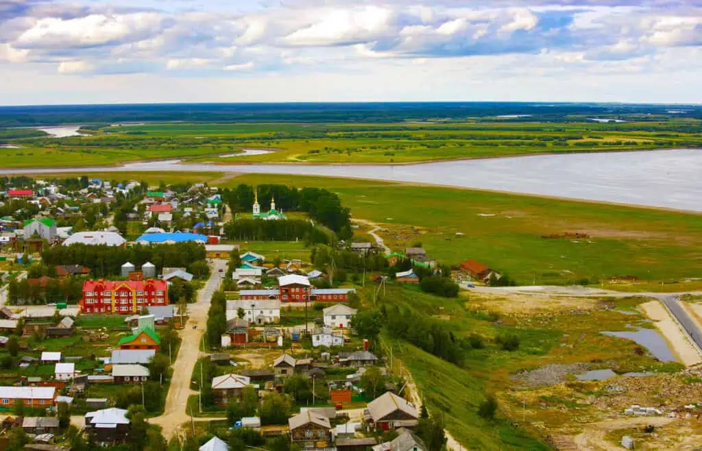 Berezovo sovremenniy vid