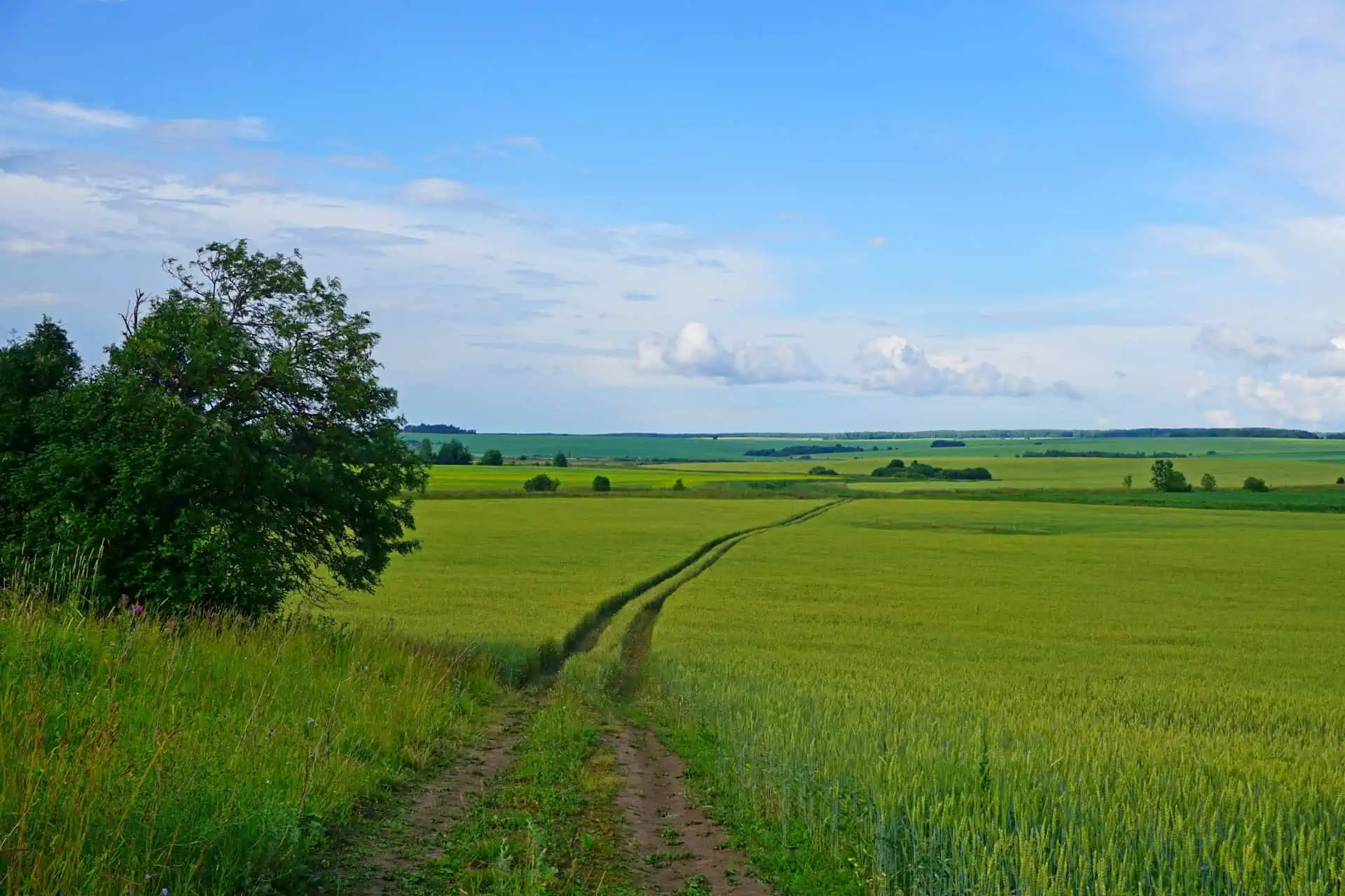 Окрестности Юрьева-Польского