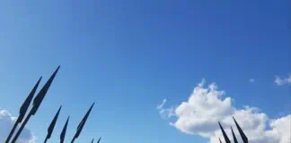 Дорога к Музейному комплексу "Куликово поле" в деревне Моховое. Тульская область