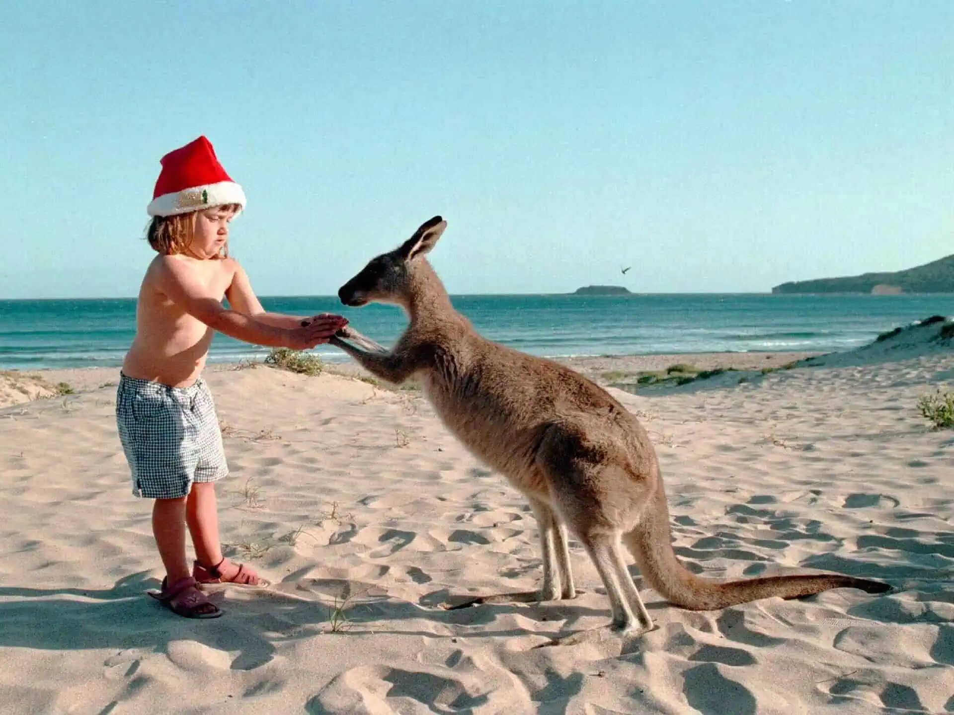 Новый год в Австралии