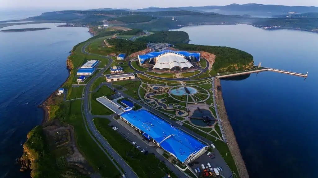 okeanarium_vladivostoka