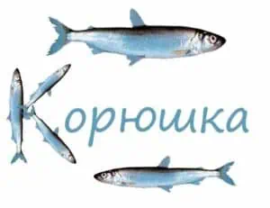 Открыт сезон корюшки в Санкт-Петербурге